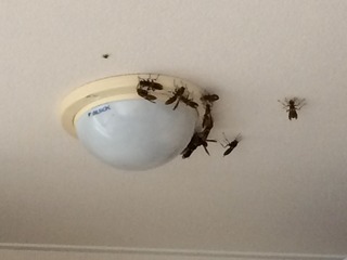 IMG_1839.jpeg