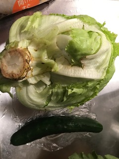 IMG_3380.jpeg