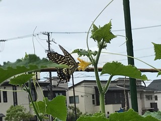IMG_3480.jpeg