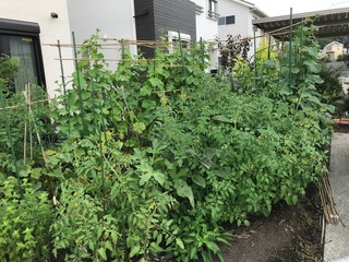 IMG_3657.jpeg