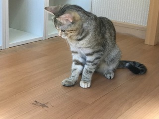 IMG_3682.jpeg