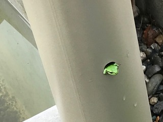 IMG_3713.jpeg