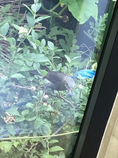 IMG_3728.jpeg