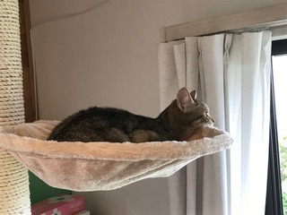 IMG_3739.jpeg