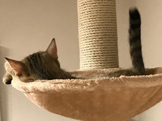 IMG_4357.jpeg