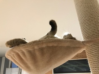 IMG_4366 (1).jpeg