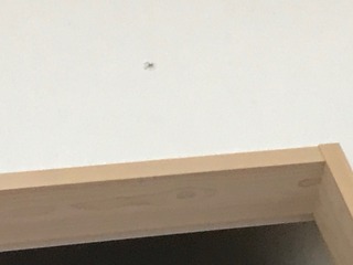 IMG_4390.jpeg