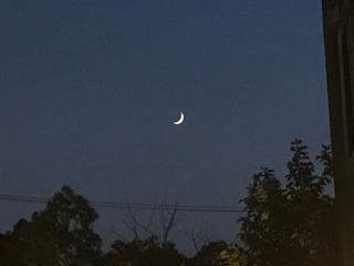 IMG_4543.jpeg