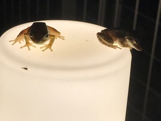 IMG_4547.jpeg
