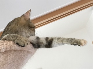 IMG_4578.jpeg