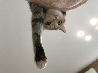 IMG_4579.jpeg