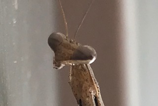 IMG_4609 (1).jpeg