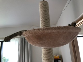IMG_4619.jpeg