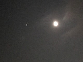 IMG_4642.jpeg