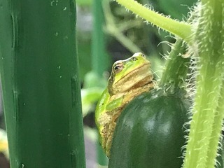 IMG_5566 (1).jpeg