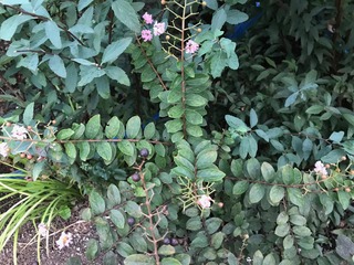 IMG_5610 (1).jpeg