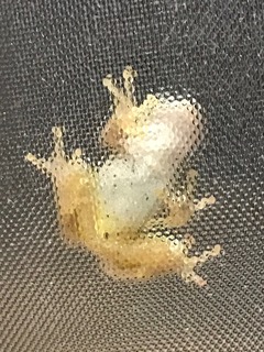 IMG_5616.jpeg