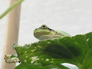 IMG_5637.jpeg