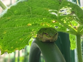 IMG_5639.jpeg