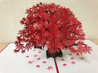 IMG_5683.jpeg